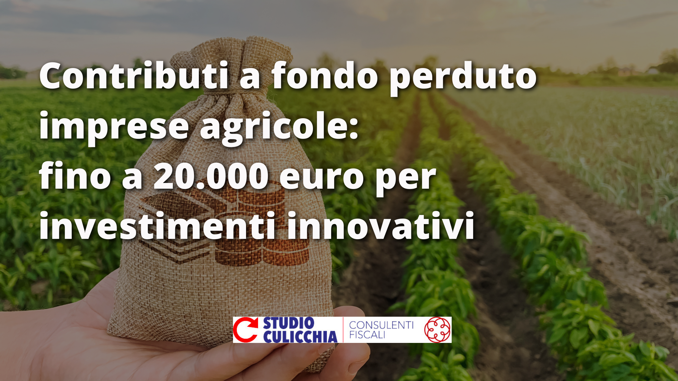 Contributi a fondo perduto investimenti innovativi per imprese agricole